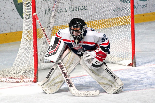 职业发展的 职业发展的